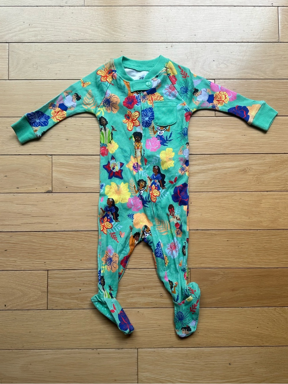 Disney Encanto Floral Print Footie Pajamas in Mint Green